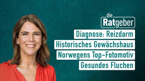 Moderatorin Anne Brüning sowie die Themen bei "die Ratgeber" am 06.11.2023: Diagnose: Reizdarm, Historisches Gewächshaus, Norwegens Top-Fotomotiv, Gesundes Fluchen
