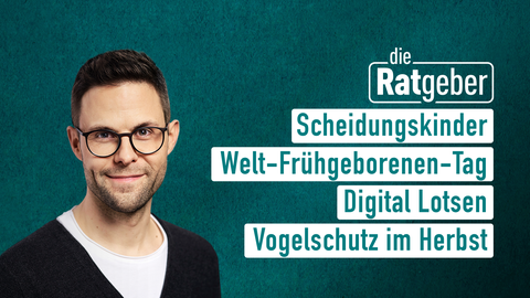 Moderator Kai Fischer sowie die Themen bei "die Ratgeber" am 17.11.2023: Scheidungskinder, Welt-Frühgeborenen-Tag, Digital-Lotsen, Vogelschutz im Herbst 