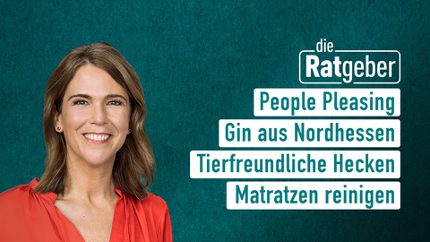 Moderatorin Anne Brüning sowie die Themen bei "die Ratgeber" am 26.02.2024: People Pleasing, Gin aus Nordhessen, Tierfreundliche Hecken, Matratzen reinigen