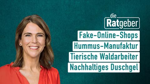 Moderatorin Anne Brüning sowie die Themen bei "die Ratgeber" am 27.02.2024: Fake-Online-Shops, Hummus-Manufaktur, Tierische Waldarbeiter, Nachhaltiges Duschgel 