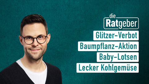 Moderator Kai fischer sowie die Themen bei "die Ratgeber" am 13.12.2023: Glitzer-Verbot, Baumpflanz-Aktion, Baby-Lotsen, Lecker Kohlgemüse 