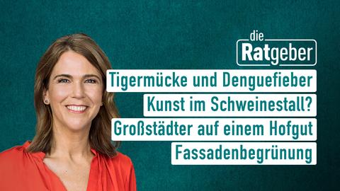 Anne Brüning mit den Themen der Ratgeber vom 14.09.2023: Tigermücke und Denguefiebe, Kunst im Schweinestall?, Großstädter auf einem Hofgut, Fassadenbegrünung
