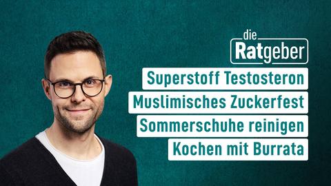 Ratgeber Moderator Kai Fischer mit dem Themen der Sendung vom 10.04.2024: Superhormon Testosteron, Muslimisches Zuckerfest, Sommerschuhe reinigen, Kochen mit Burrata 