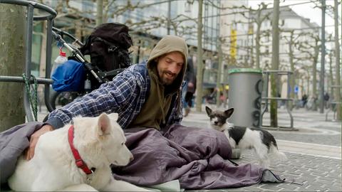 Ein Obdachloser sitzt mit seinen beiden Hunden auf dem Boden der Frankfurter Zeil.
