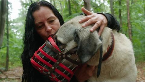 Eine Frau und ein Hund mit Maulkorb im Wald. Sie streicht beruhigend über seinen Kopf.