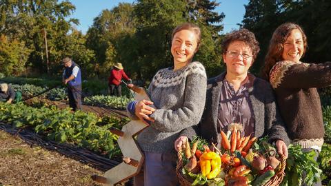 Anja Rappelt und ihre Mitstreiterinnen von der Frankfurter Stadtfarm