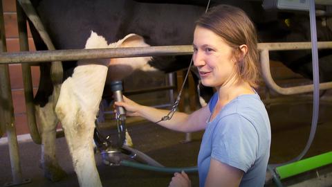 Öko-Landwirtin Franziska Dörr bei ihren Kühen. 