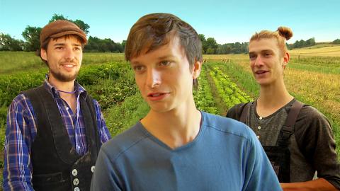 Die drei Freunde Malte, Florian und Niklas betreiben einen Biohof.