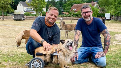 Friso kniet auf dem Boden, in der Mitte ein Hund, rechts John David Kraft. 