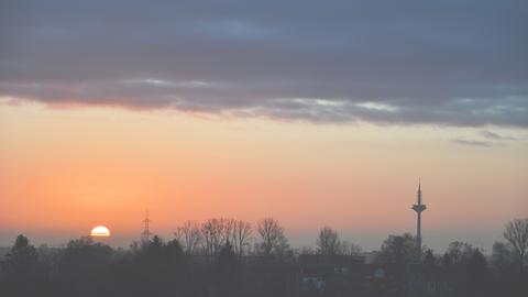 januarzwansischzwansisch