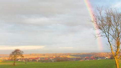 januarzwansischzwansisch