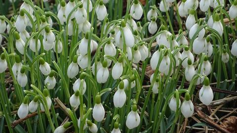 Wetterfotos hallo hessen Februar 2020