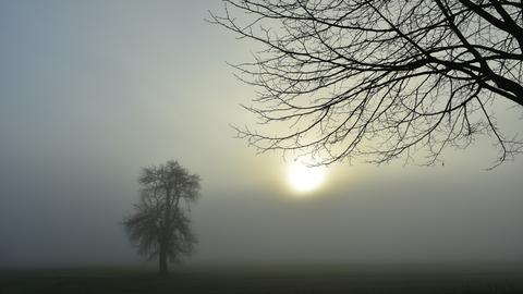Wetterfotos hallo hessen Januar 2020