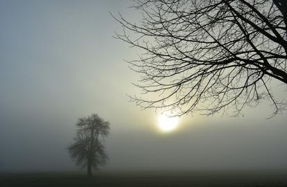 Wetterfotos hallo hessen Januar 2020
