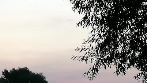 Wetterbilder hallo hessen