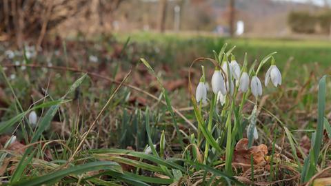 Wetterfotos hallo hessen Februar 2020