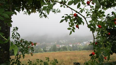 hallo hessen - Wetterbilder