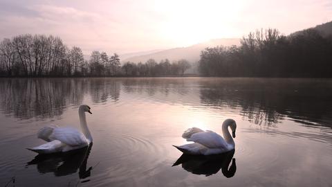 Wetterfotos hallo hessen Januar 2020
