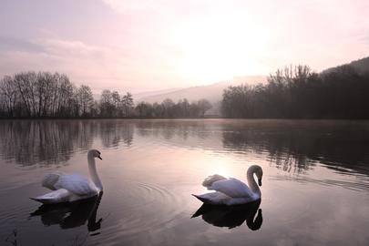 Wetterfotos hallo hessen Januar 2020
