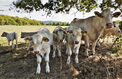 Wetterbilder hallo hessen