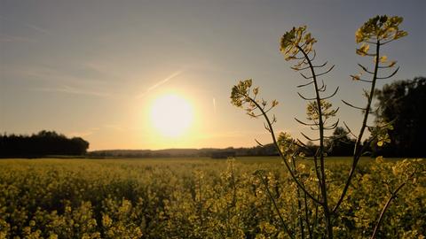 Wetterbilder hallo hessen