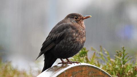 Wetterfotos hallo hessen Februar 2020