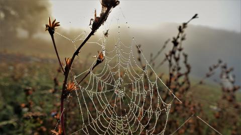 hallo hessen - Wetterbilder
