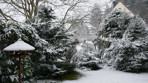 Wetterfotos hallo hessen