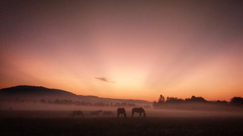 Wetterbilder hallo hessen