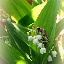 Wetterbilder