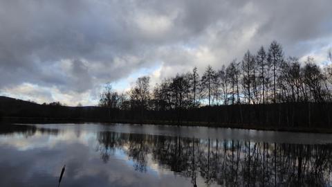 Ein See mit Spiegelungen der Bäume am Ufer.