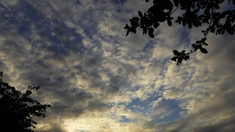 Wetterbilder