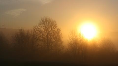 Aufgehende Sonne im Nebel hinter Bäumen. 