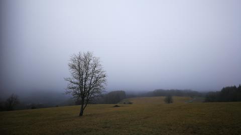 Wetterfotos hallo hessen Januar 2020
