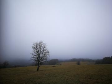Wetterfotos hallo hessen Januar 2020
