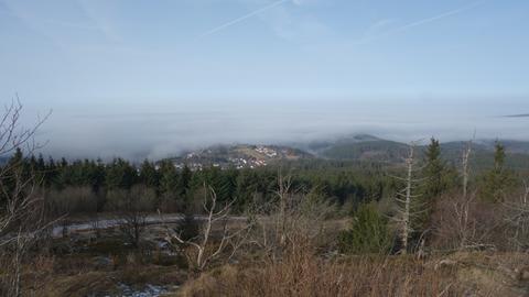 januarzwansischzwansisch