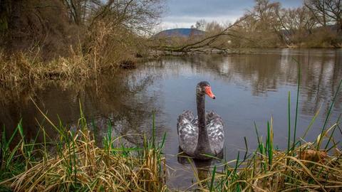 Wetterfotos hallo hessen Januar 2020