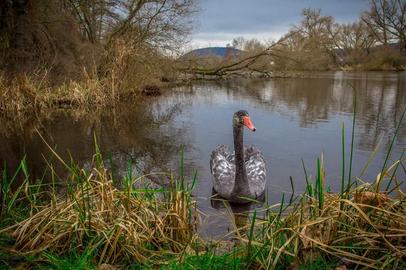 Wetterfotos hallo hessen Januar 2020