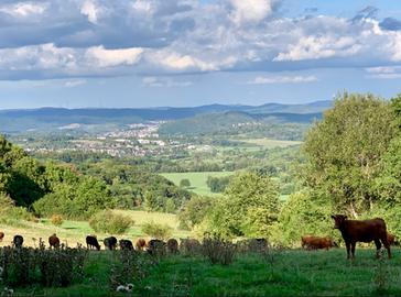 Wetterbilder hallo hessen