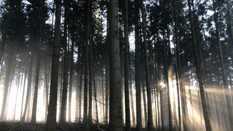 Wetterfotos hallo hessen