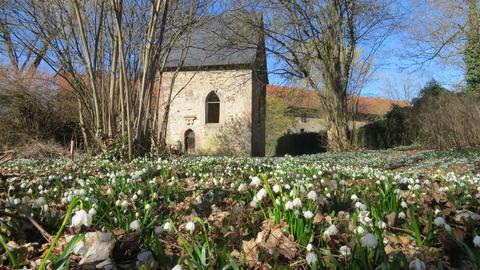 Der Schlosspark in Lehrbach. 