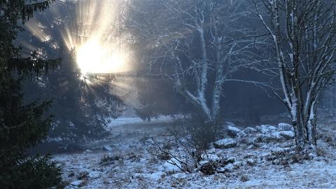 Wetterfotos hallo hessen Januar 2020