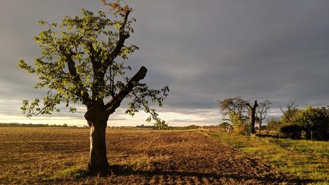 hallo hessen - Wetterbilder