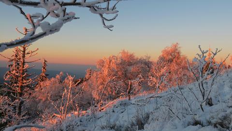 Ein Abhang im Morgenlicht im Schnee. 