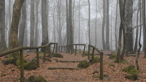 Wetterfotos hallo hessen Januar 2020
