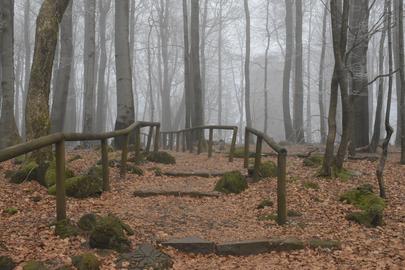 Wetterfotos hallo hessen Januar 2020