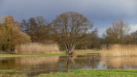 Wetterfotos hallo hessen Februar 2020