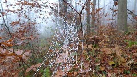 Wetterfotos hallo hessen