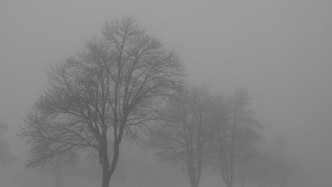 Wetterfotos hallo hessen