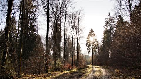 Wetterfotos hallo hessen